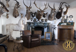 Möbel- und Trophäenausstellung